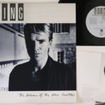 Sting, Dream Of Blue Turtles