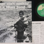 Various, Chicago Ain't Nothin' But A Blues Band