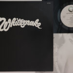 Whitesnake, Slide It In