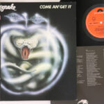 Whitesnake, Come An' Get IT
