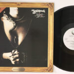Whitesnake, Slide It In (American Remix Version)