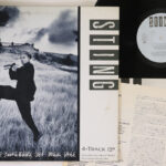 Sting, If You Love Somebody Set Them Free