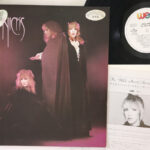 Stevie Nicks, [PROMO COPY] Wild Heart