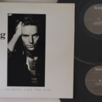 Sting, Nothing Like The Sun