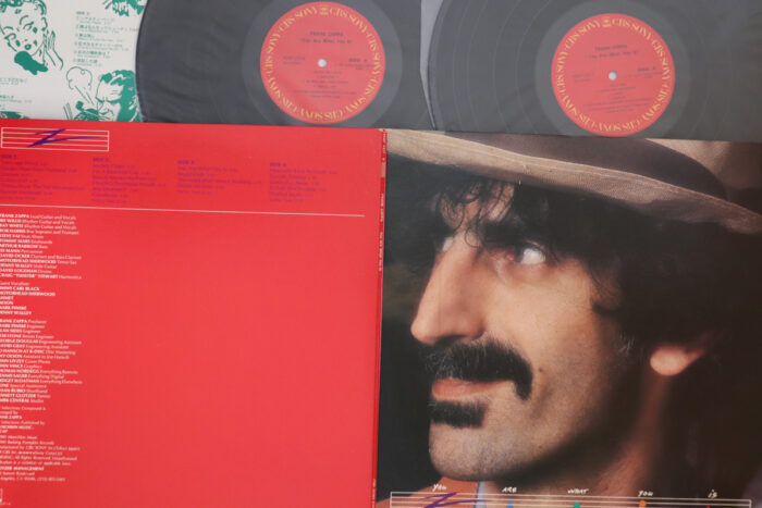 Frank Zappa, you are what you is - Imagen 1