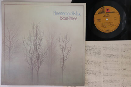 Fleetwood Mac, Fleetwood Mac