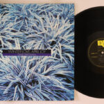 David Friedman, Winter Love, April Joy