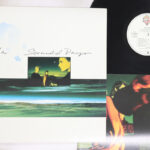 A-Ha, Scoundrel Days