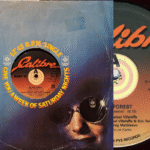 Baby'O, In The Forest