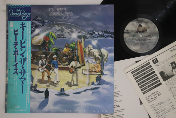 Beach Boys, Keepin' The Summer Alive - Imagen 1