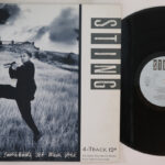 Sting, If You Love Somebody Set Them Free